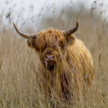 Vakantiehuis Lieke Lauwersmeer Met Sauna Anjum エクステリア 写真